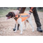 DOGVEST - Gilet de protection Chien