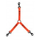 ACO3 - Accouple 3 chiens orange