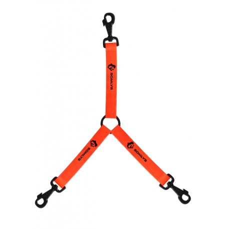 ACO3 - Accouple 3 chiens orange